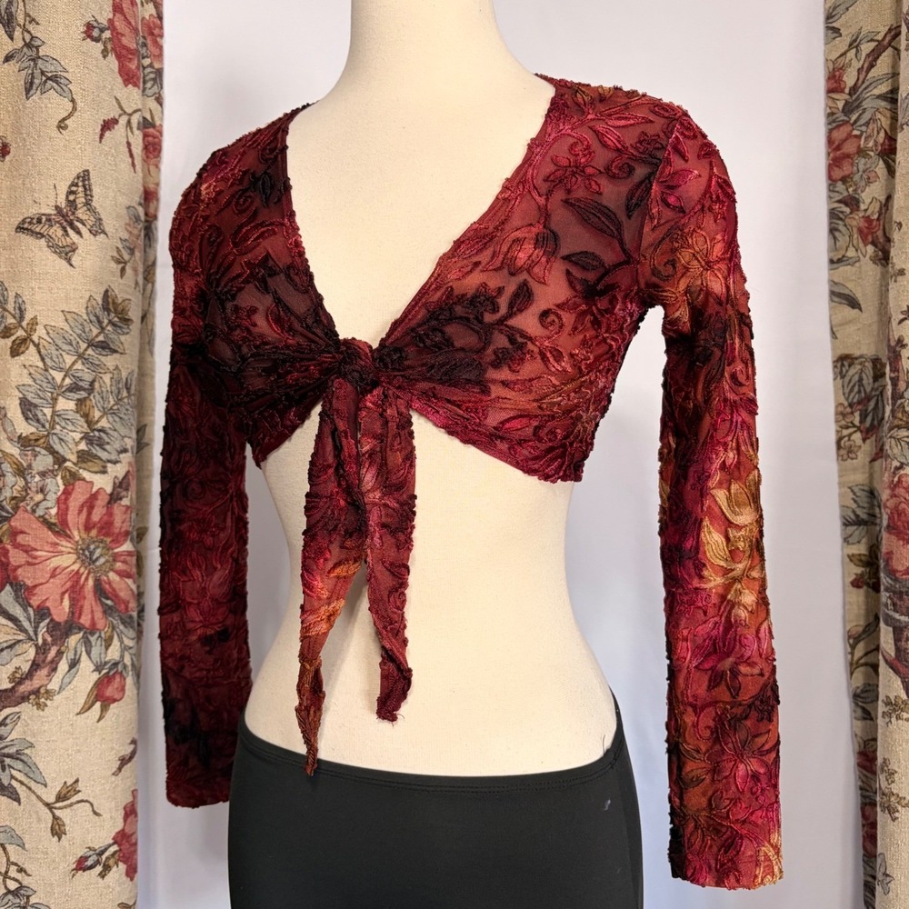 Meghan Noland Red Velvet Burnout Floral Ti Front Sheer Mesh Long sleeve Crop Top